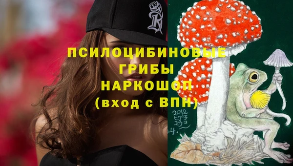 соль ск Алексин