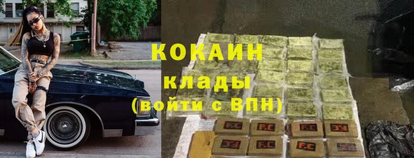 соль ск Алексин