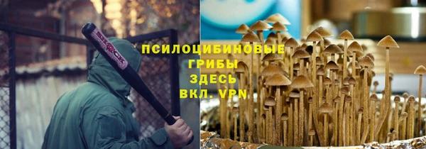 соль ск Алексин